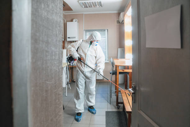 Best Emergency Mold Remediation  in Brandon, FL