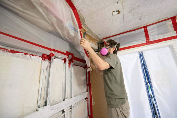 Mold Removal for HVAC Installations in Brandon, FL