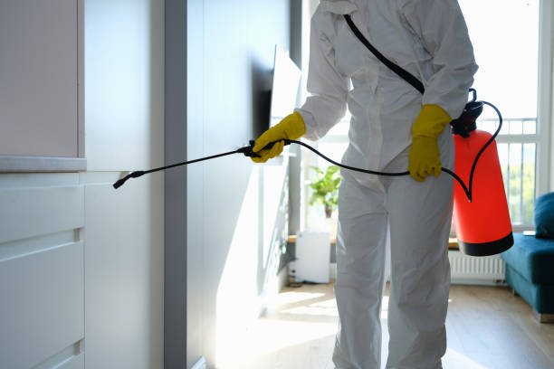 Best Industrial Mold Remediation  in Brandon, FL