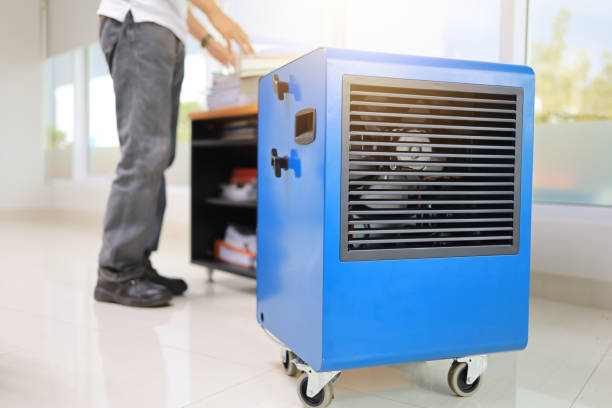 Best Commercial Mold Inspection  in Brandon, FL