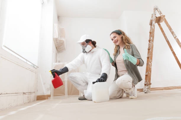  Brandon, FL Mold Removal Pros